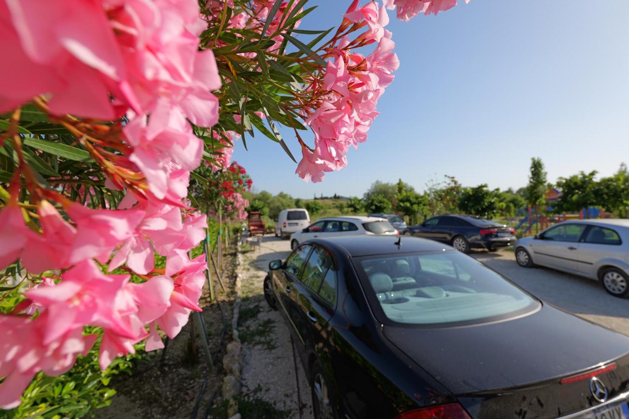Mesopotam Agrotourism Resort Sarandë Exteriér fotografie